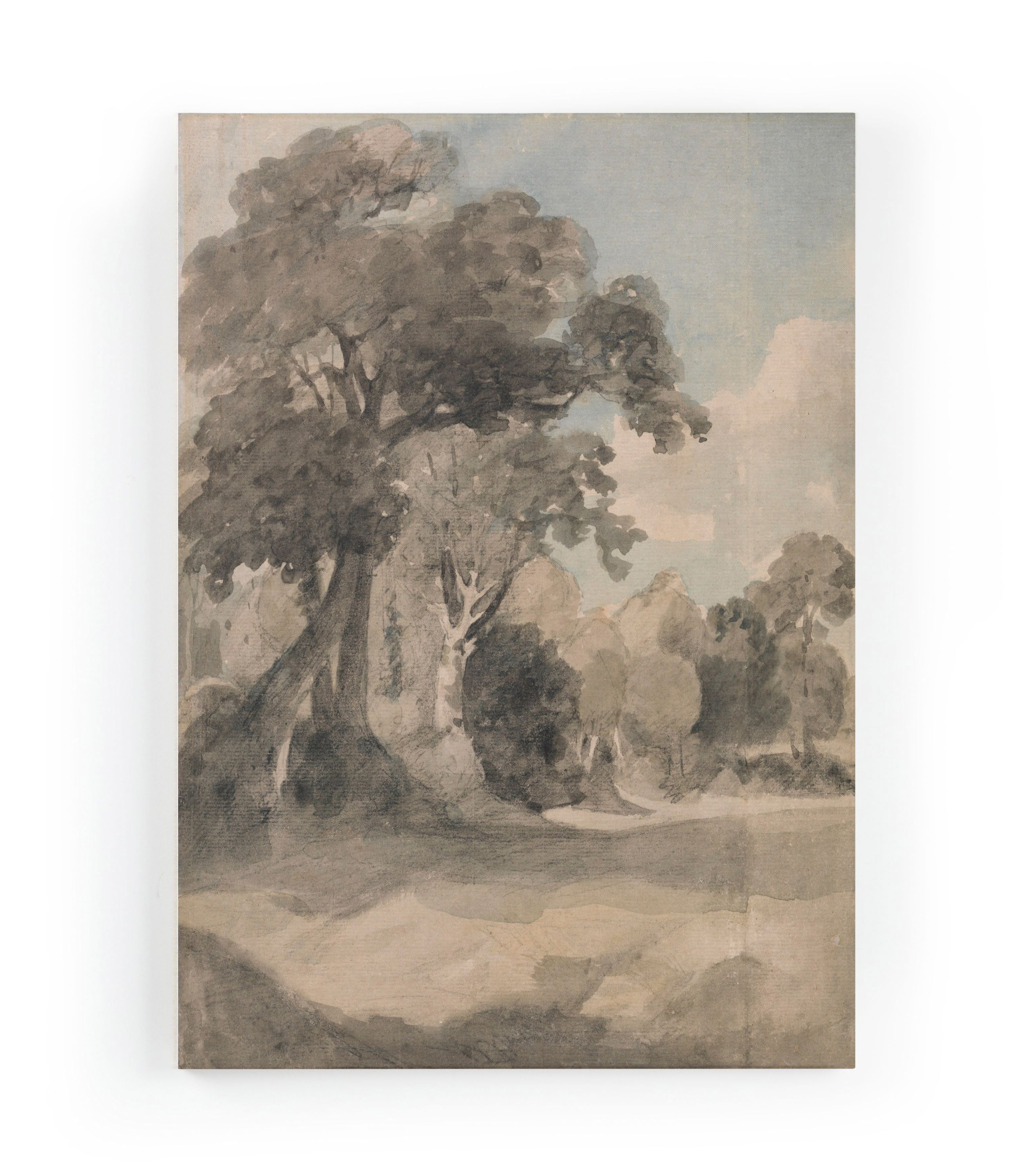 Canvas 60×40 Afdruk Bomen in Weide