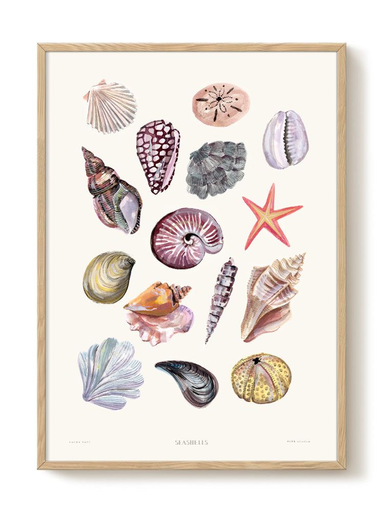 Laura – Seashells – PSTR studio Kunst Poster
